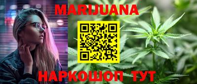 индика Дмитров