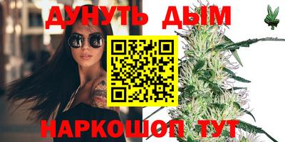 индика Дмитров