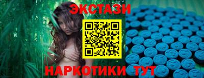 индика Дмитров
