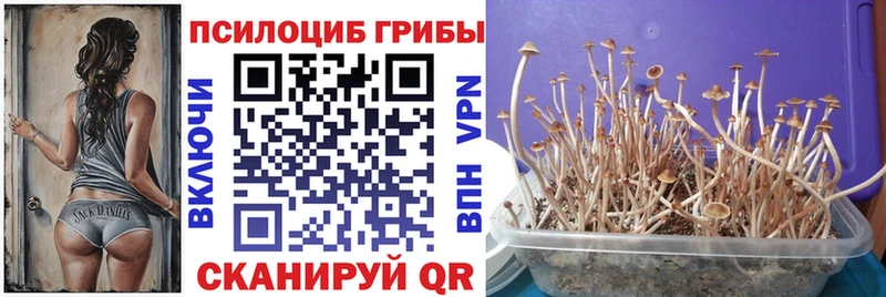 Псилоцибиновые грибы ЛСД  блэк спрут ТОР  Находка 