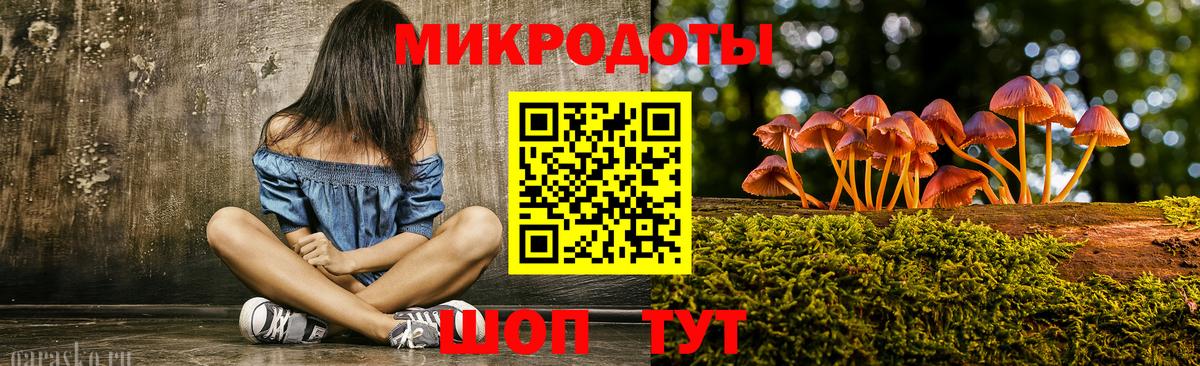 Псилоцибиновые грибы Psilocybe  Вход с VPN  купить наркотики цена  Находка 